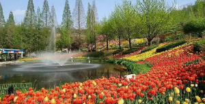 꼭 가야하는 축제 BEST 5곳