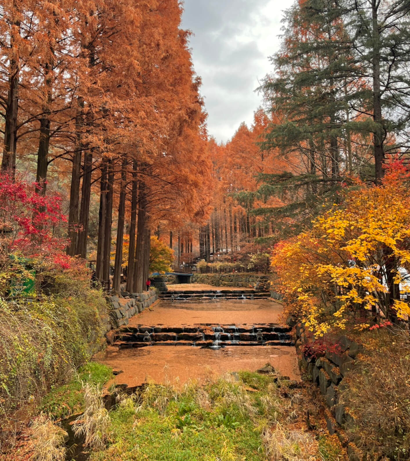 대전 장태산 자연휴양림 4