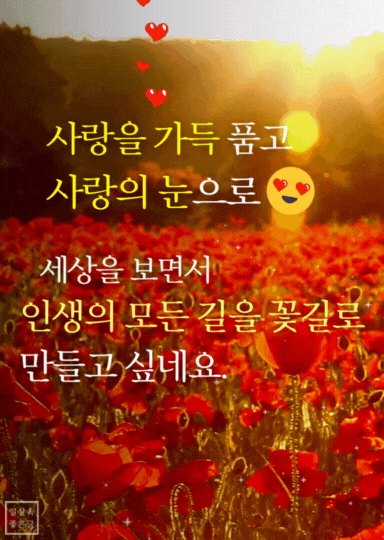 소중한 사람과 함께하는 행복한 인생길을 표현하는 감성 명언 이미지