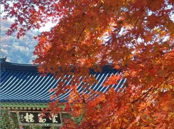 가을 단풍 여행지 베스트10 산책로 사진스팟 대중교통으로 여유롭게_8