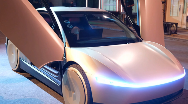 테슬라 로보택시