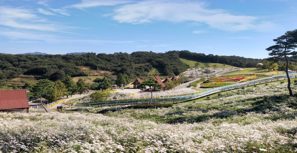 임실치즈테마파크사진