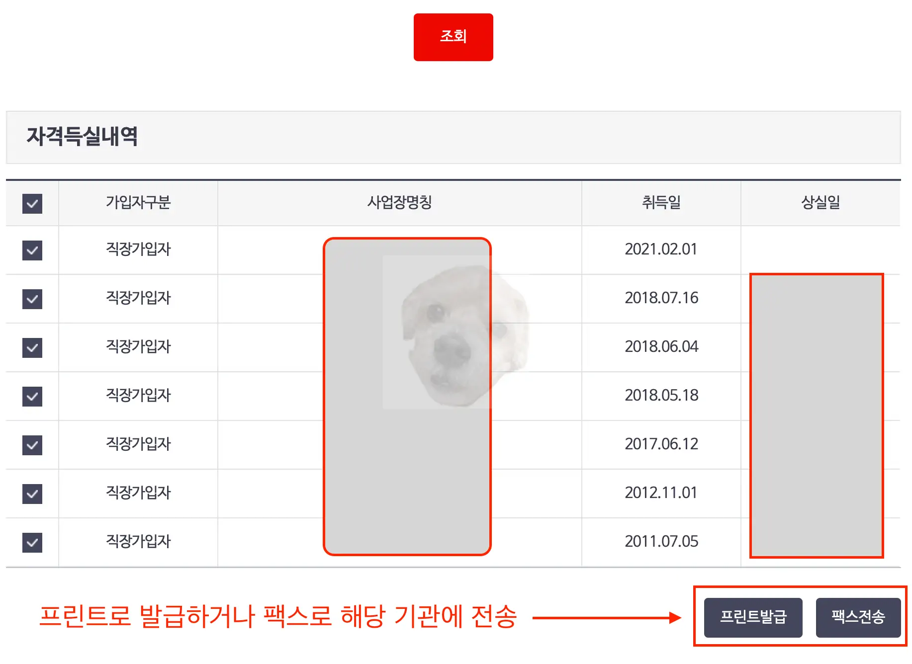 자격득실내역 발급방법 선택하기