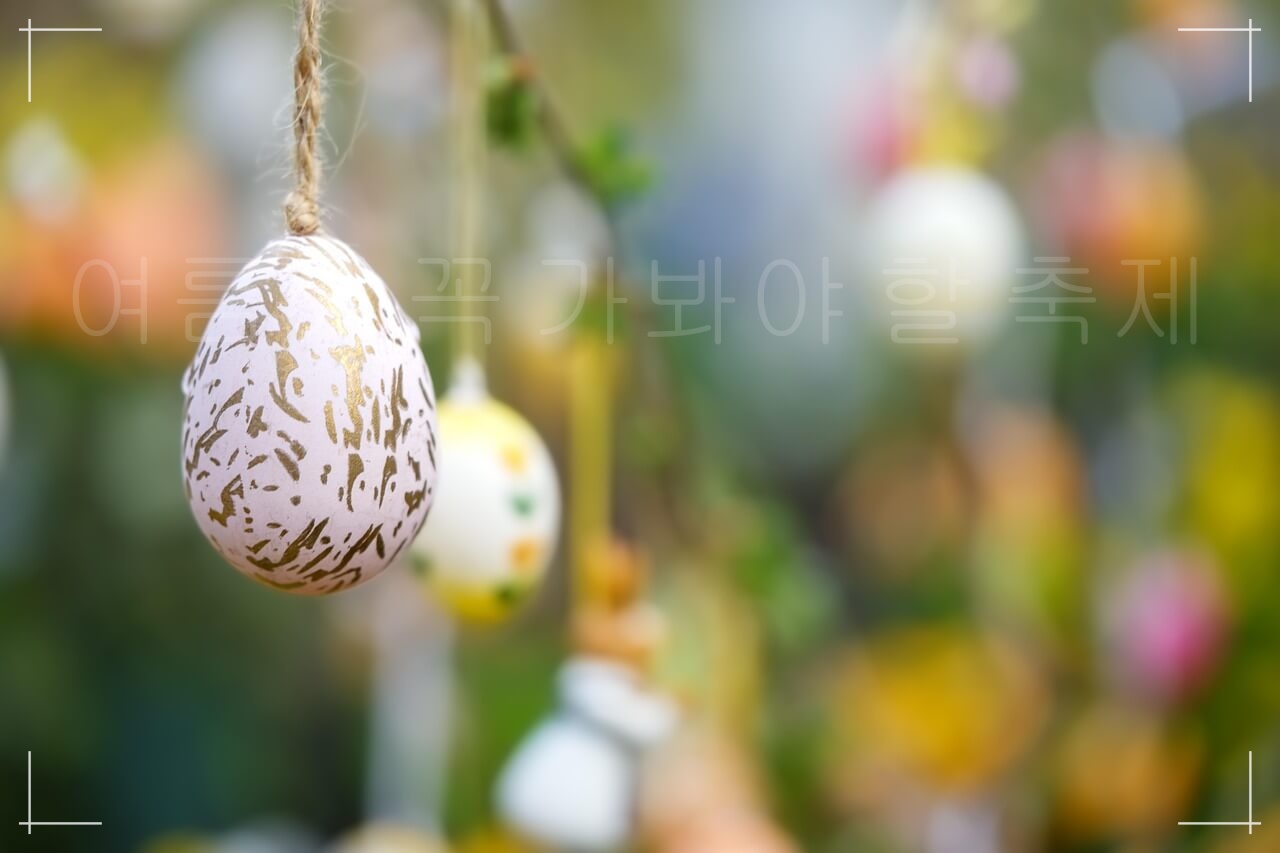 인기 축제 BEST 7, 올해 가장 기대되는 축제, 여름에 꼭 가봐야 할 인기있는 축제