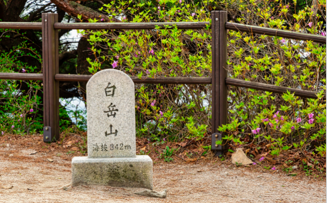 청와대 관람신청, 개방예약