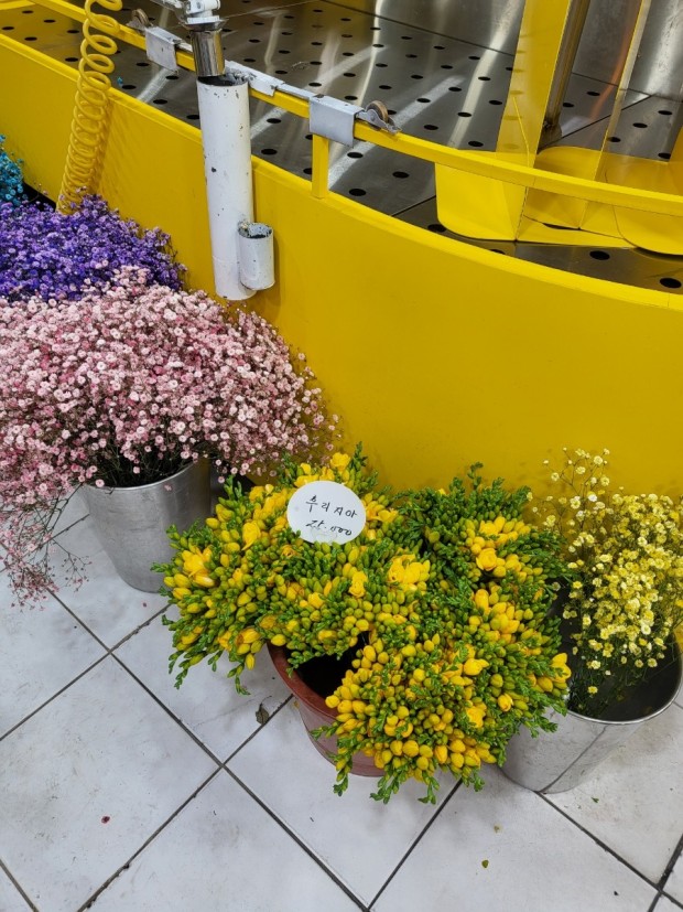 생생정보 : 연 매출 8억! 성공의 꽃을 피우다 - 백송이 전문점