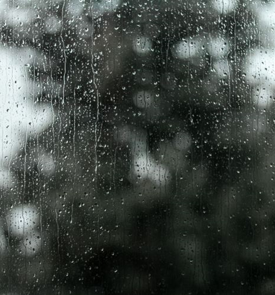 빗물 사진