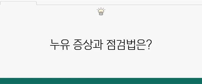 엔진오일 누유 증상, 차량 안전을 위한 체크리스트