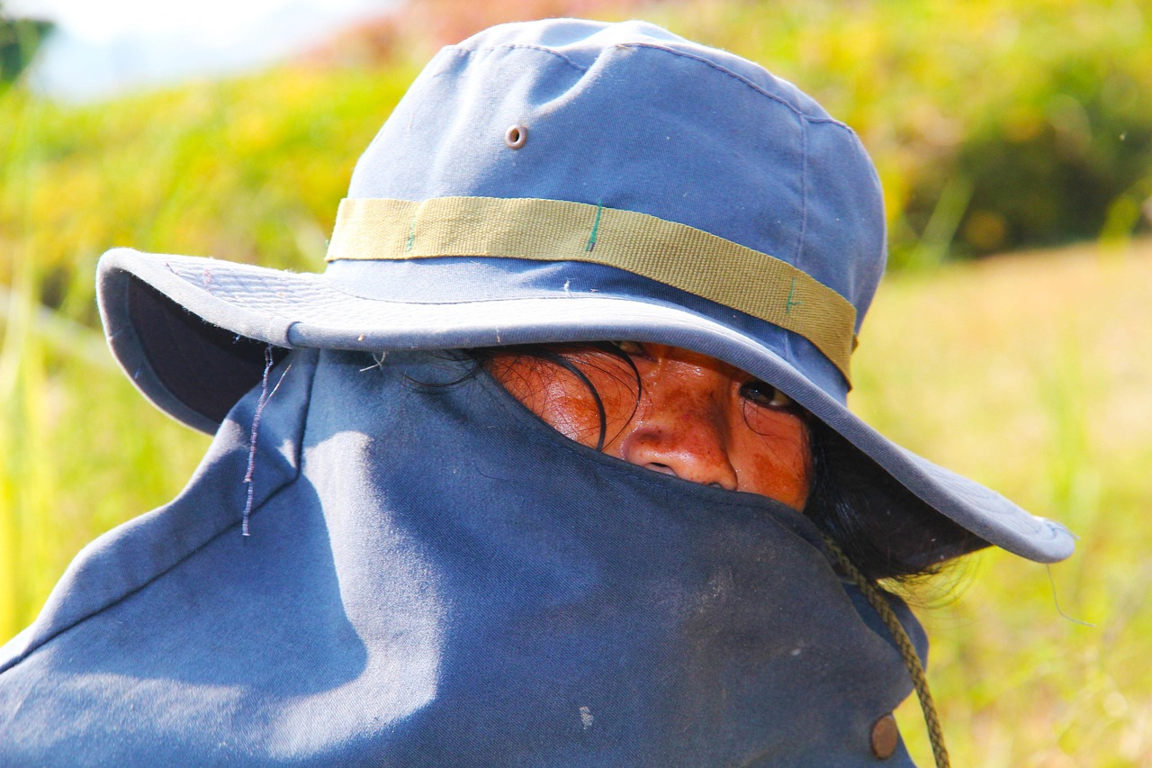 벌초 2025 계양·엔진 예초기 추천과 사용법필수템!