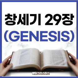 [성경문제] 창세기 29장 1-35절 요약