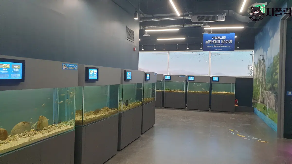 충북아쿠아리움-2층-우리민물고기-수조