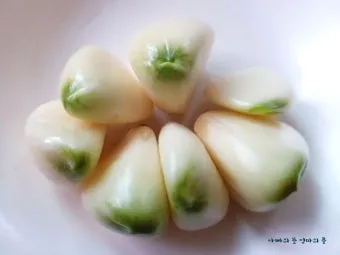 홍산마늘 효능 수확시기 재배법 주아 정리 정보_19