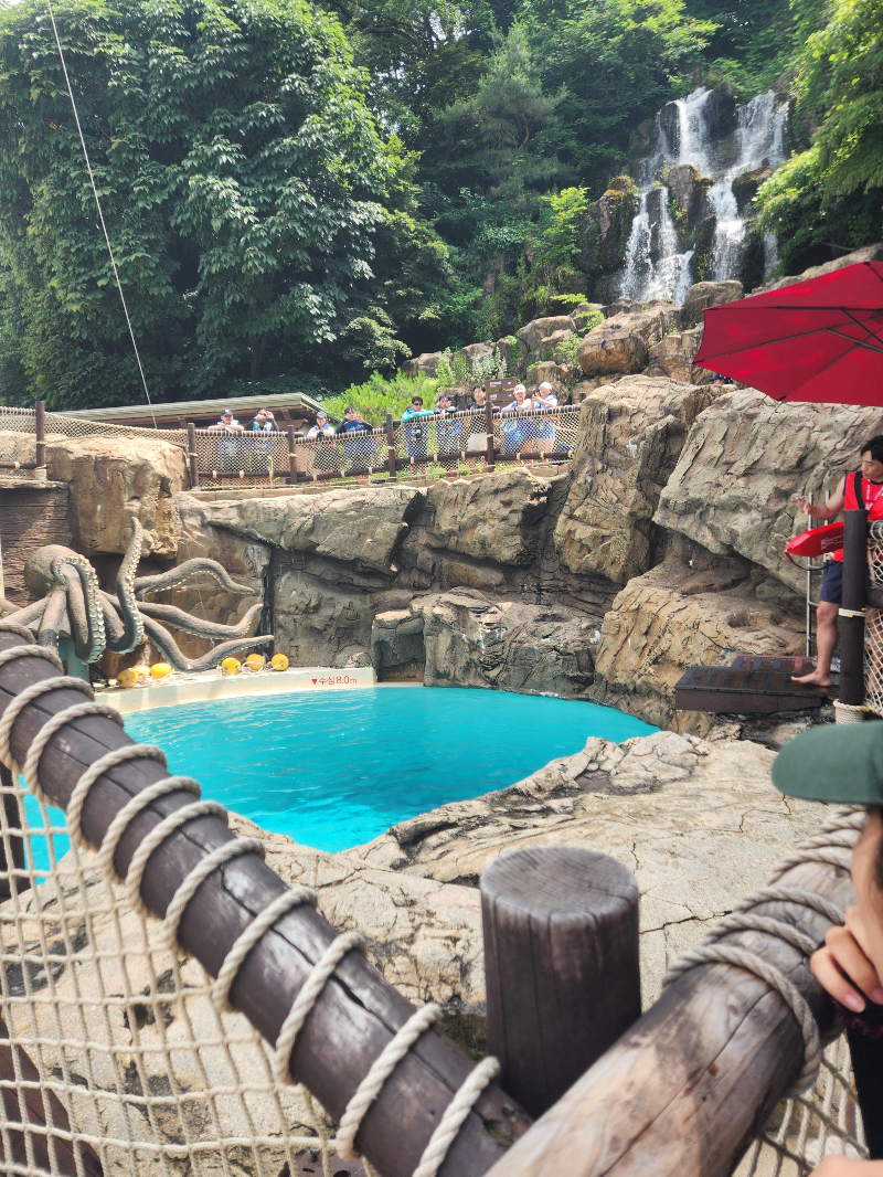 캐리비안베이 다이빙