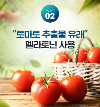 멜라토닌 효능, 불면증 해결(식물성 멜라토닌 추천)