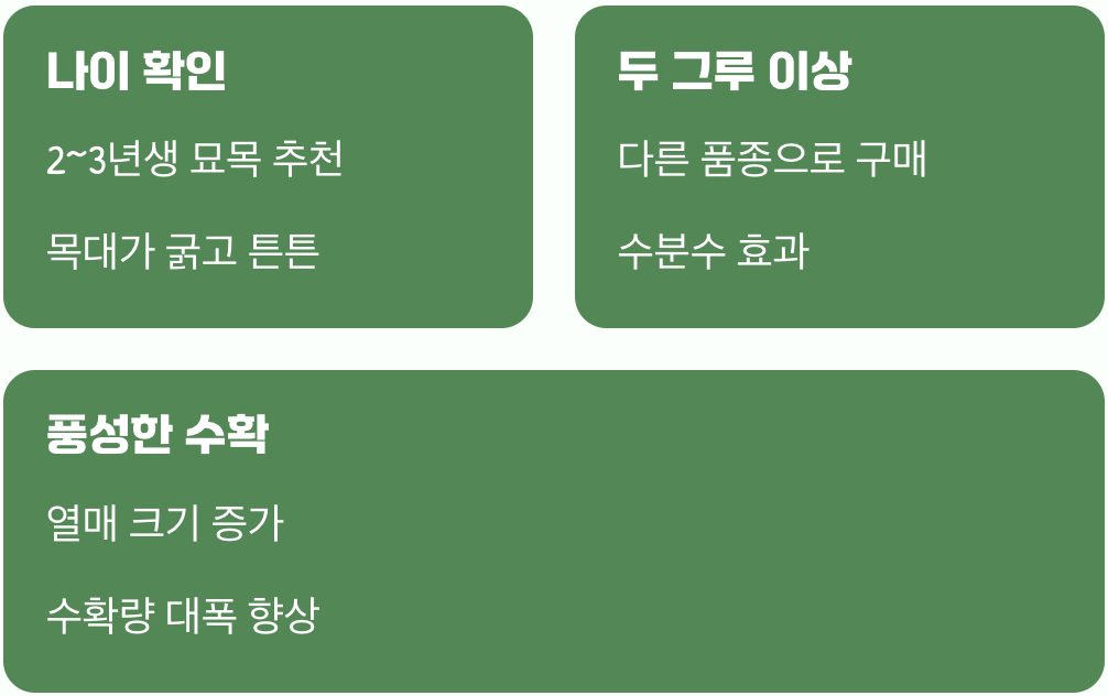 모든 시작은 튼튼한 묘목 고르기