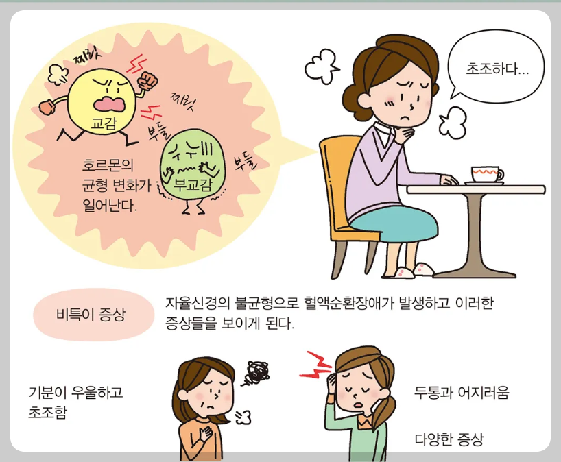갱년기 증상
