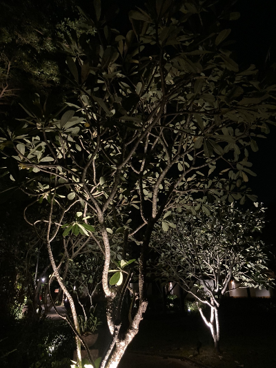 푸켓-가성비-숙소-추천-파라독스-리조트-5성급