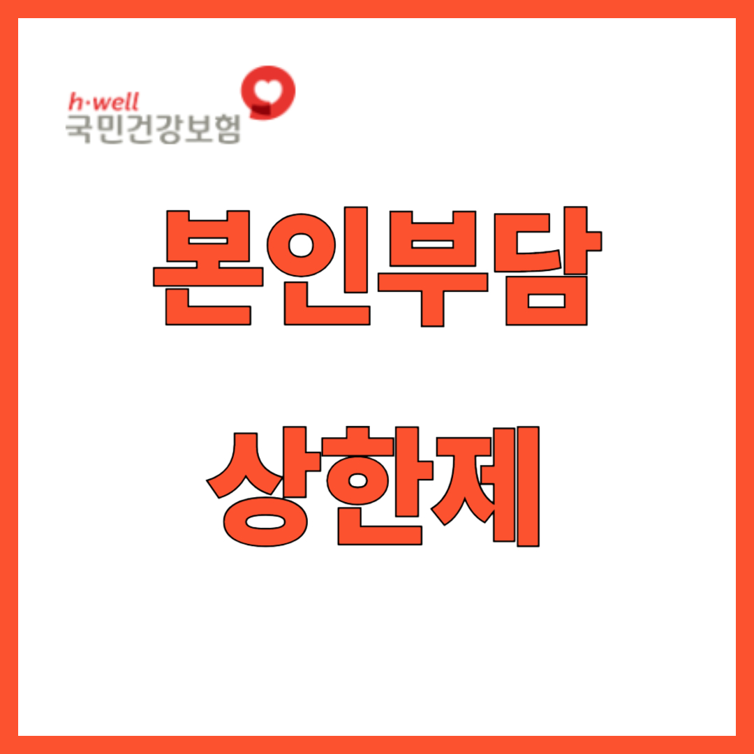 본인부담 상한제 환급 초과금 신청 조회