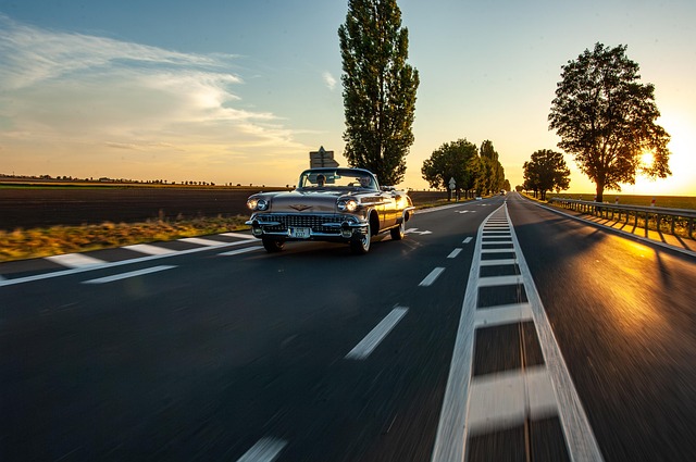 신차 vs 중고차 유지비 비교 