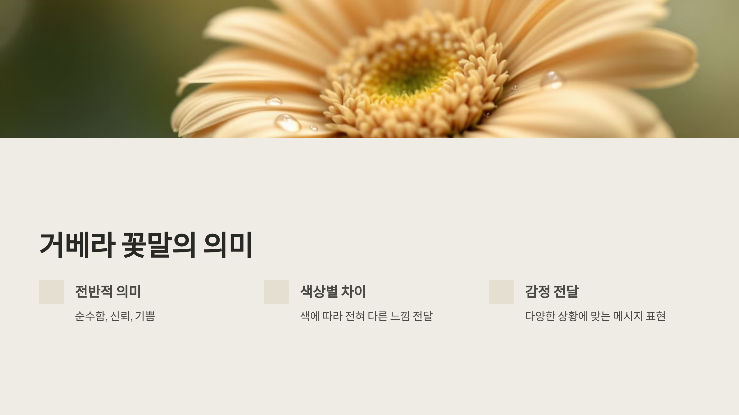 거베라 꽃말