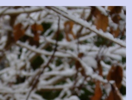 대상포진 초기증상