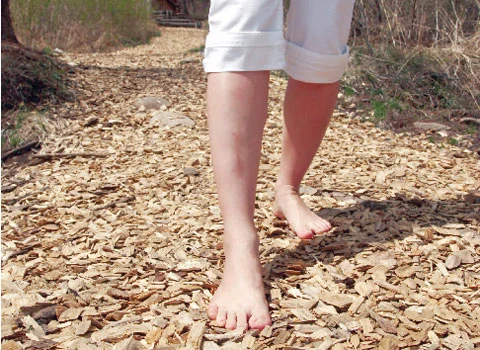맨발걷기효능
