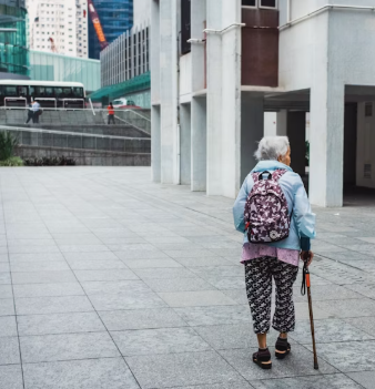 콘드로이친 효능 복용법 시간 부작용