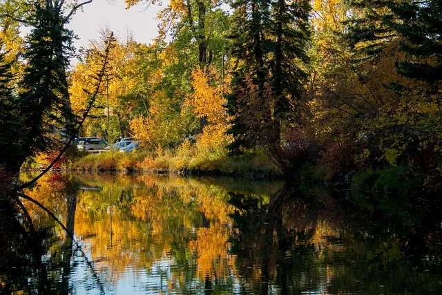 보내 보네 헷갈리는 맞춤법 올바른 표기 완벽 정리_7