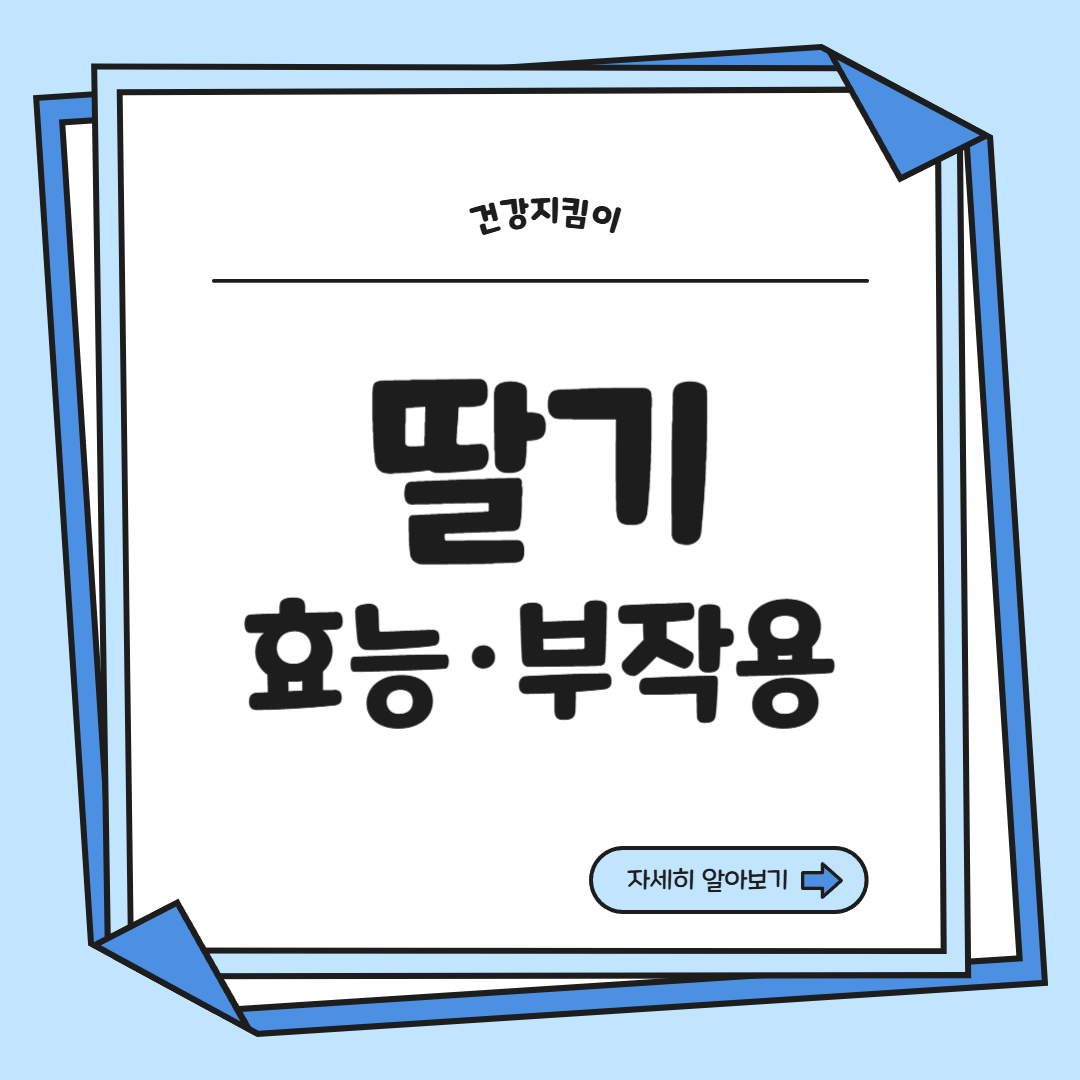 딸기 효능 부작용 칼로리 고르는법