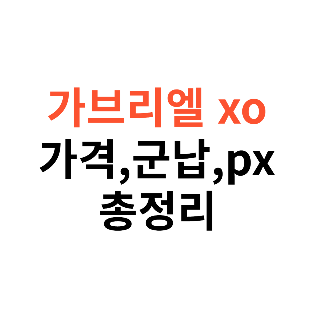 가브리엘 xo 가격