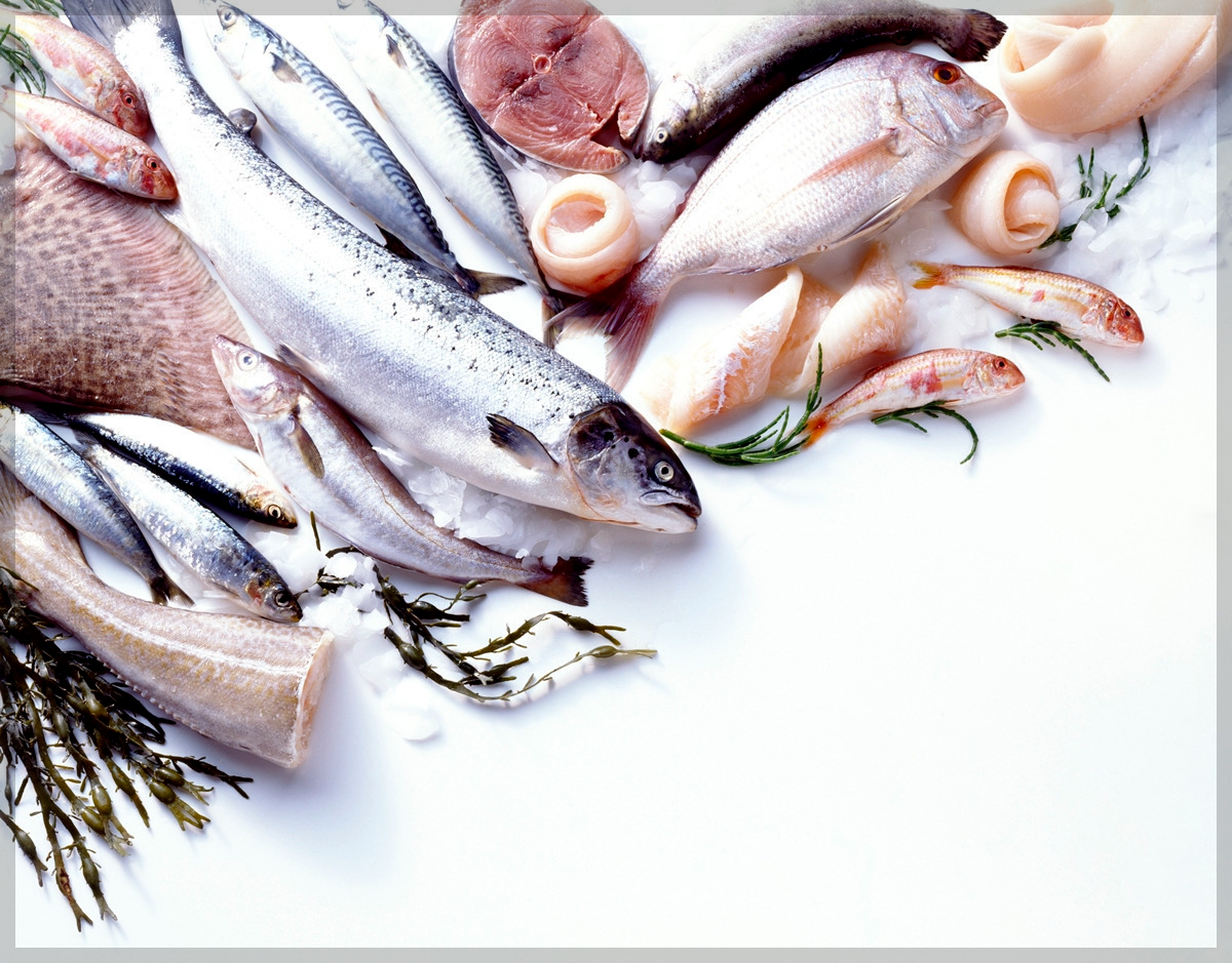 12월 면역력 제철 생선