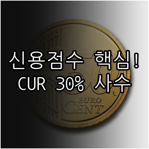 신용 점수 하락 막는 카드 리볼빙 수..