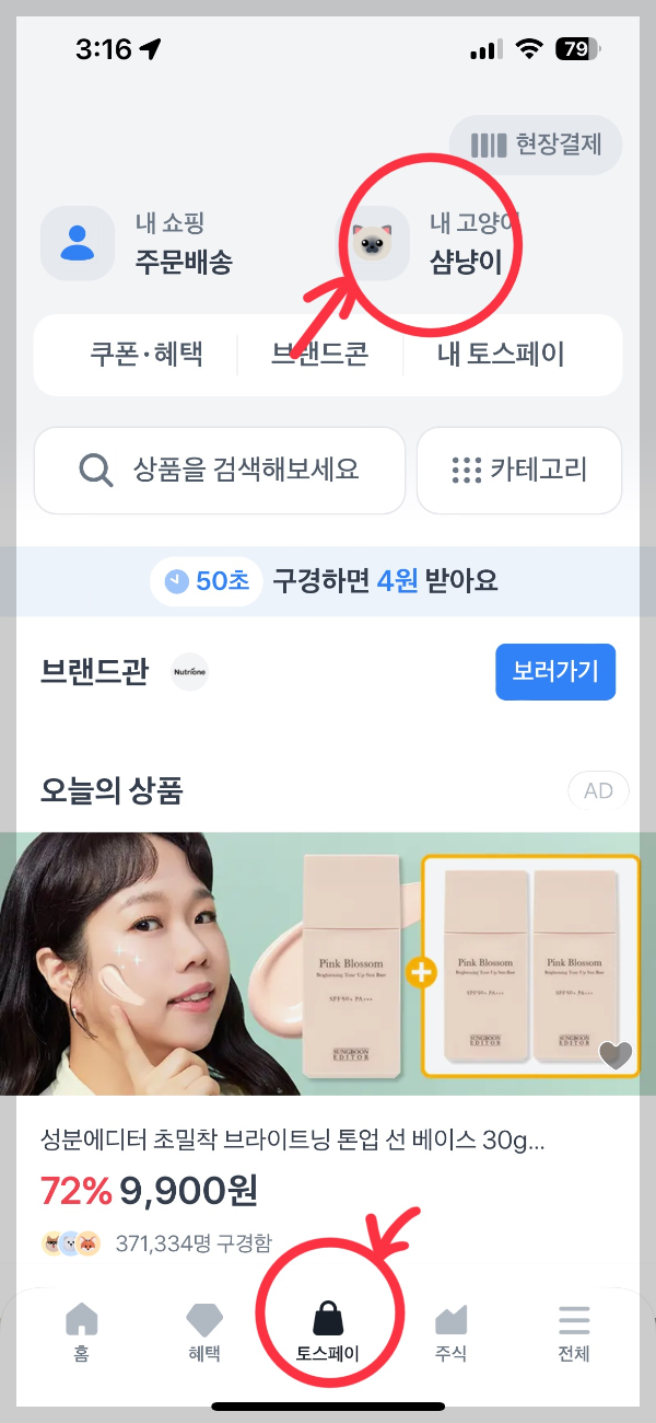 홈화면 토스페이 클릭 고양이 키우기
