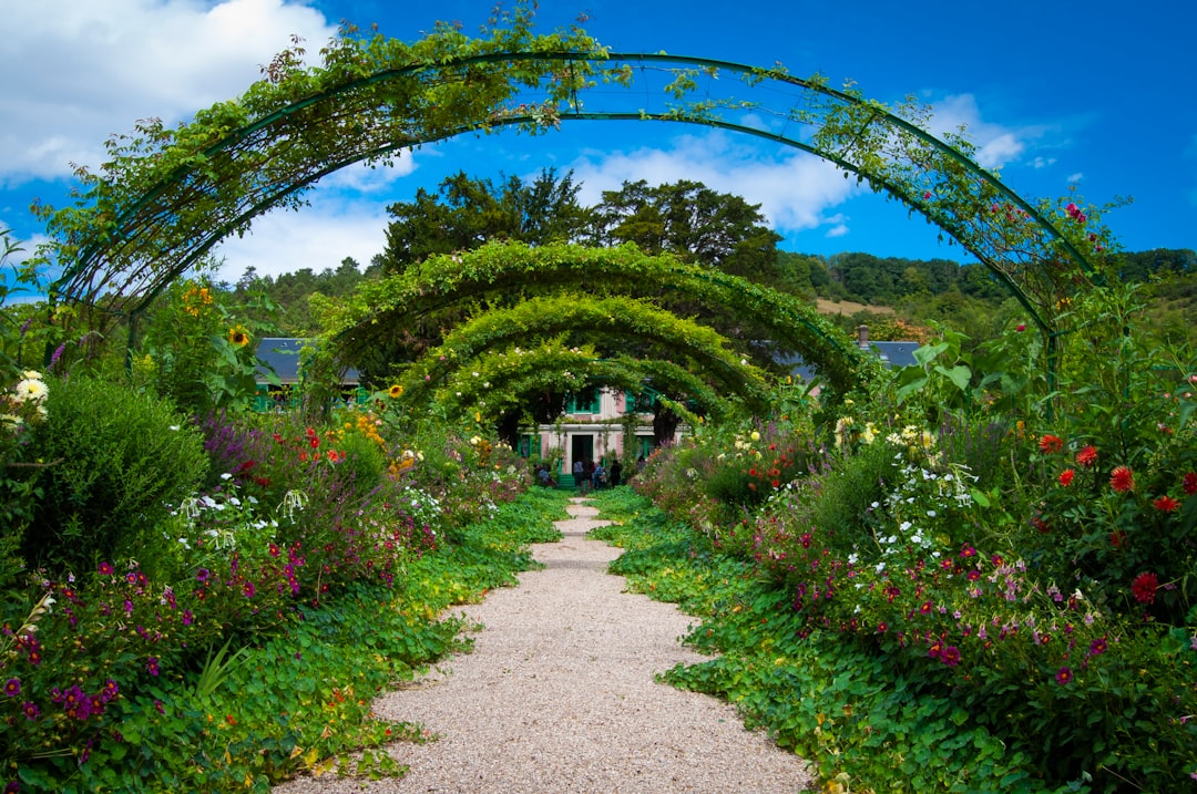 Flower Garden