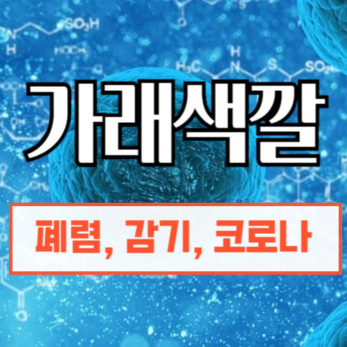 거래색깔로 알아보는 폐건강