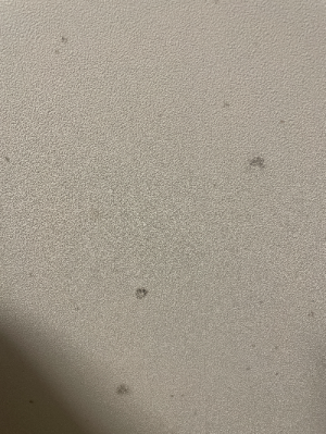 곰팡이-원인-제거-예방-벽지-욕실-베란다