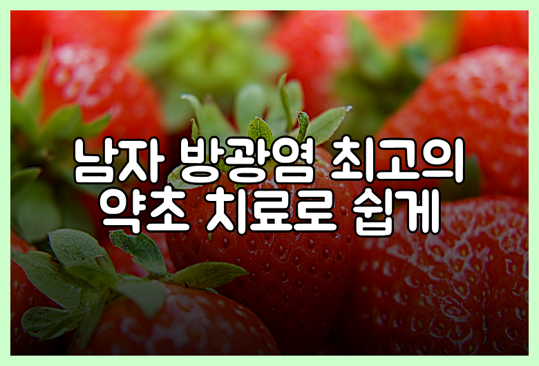 남자 방광염 최고의 약초 치료로 쉽게