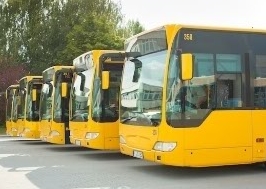 제주 181번 버스 노선 및 타는곳