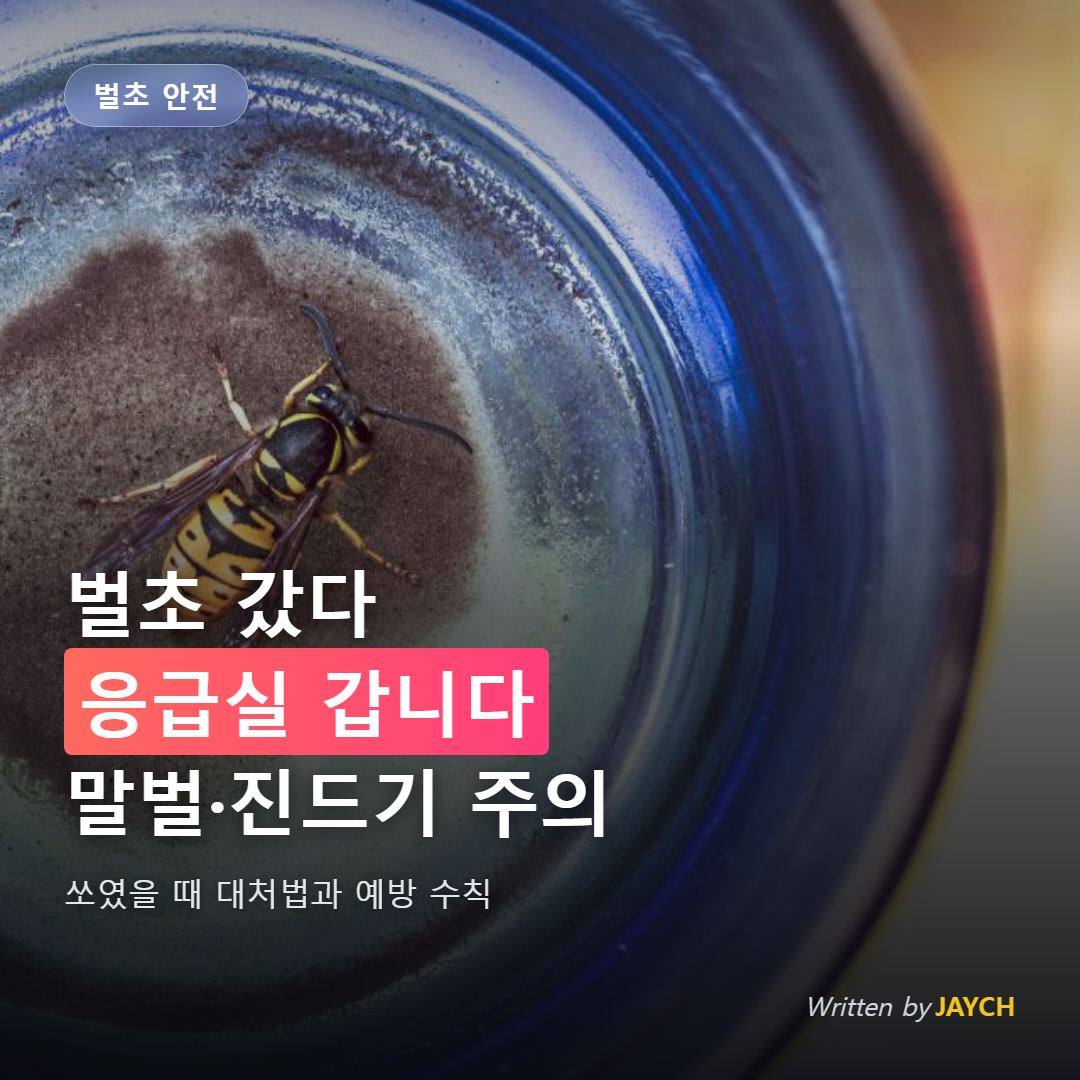 벌초 안전 수칙 썸네일 - 말벌 근접 사진