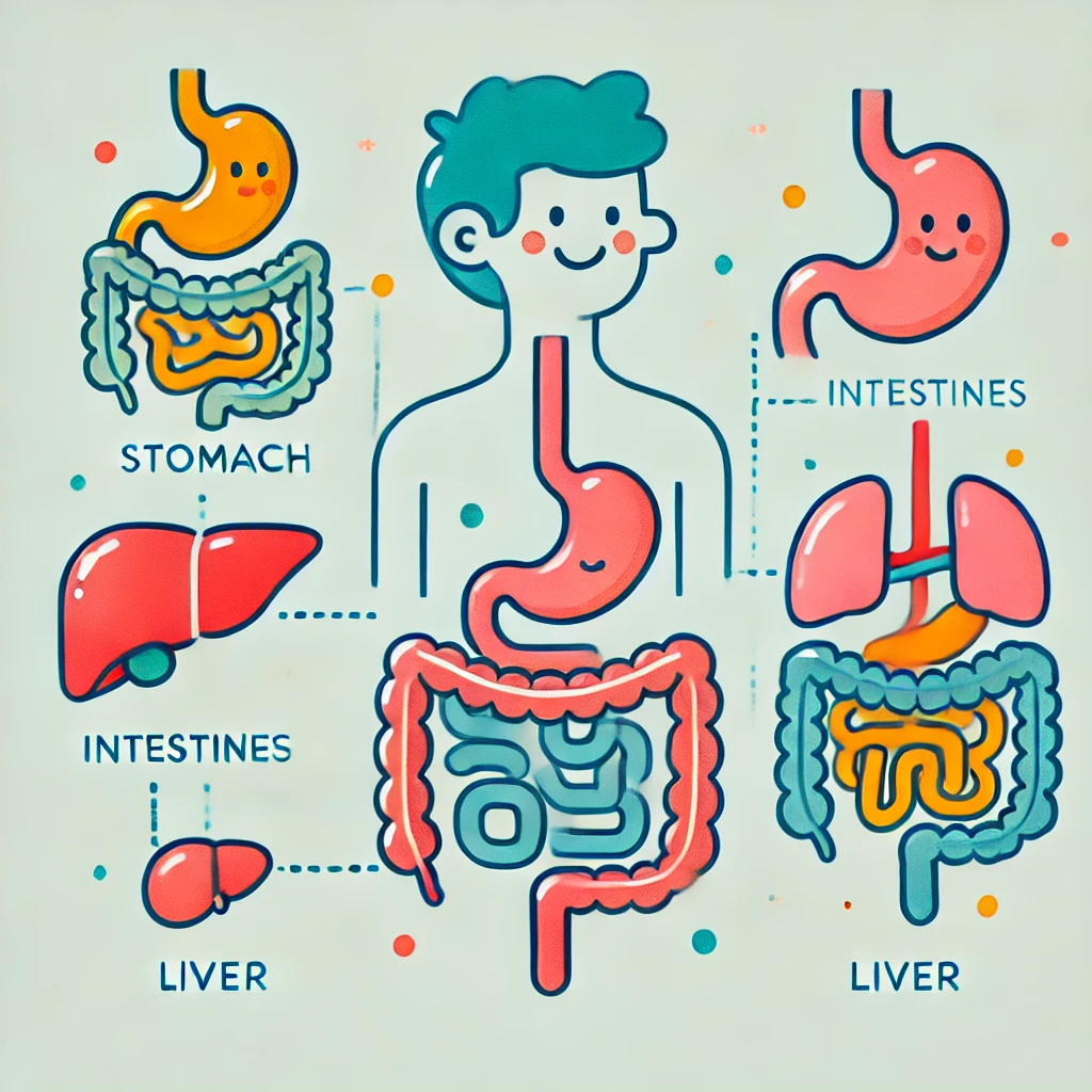 주요 원인 정리