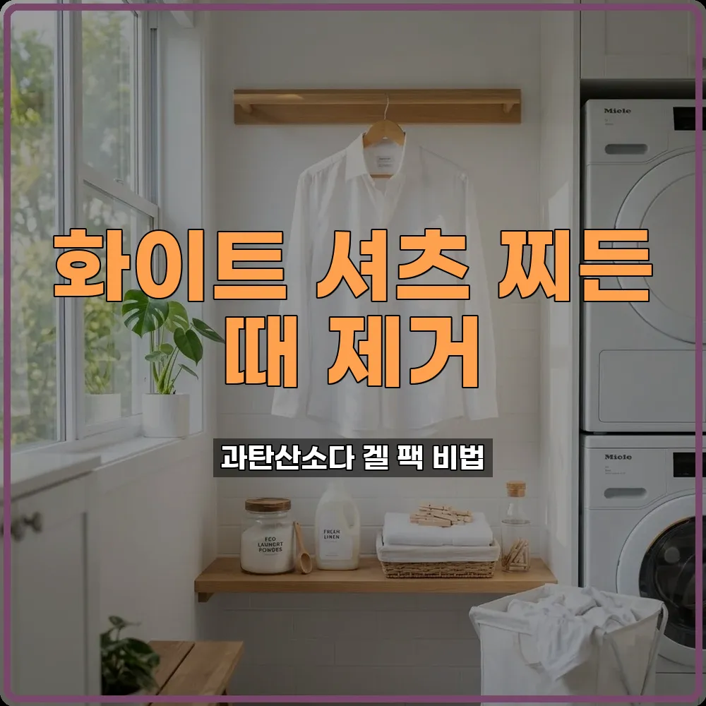 찌든때제거