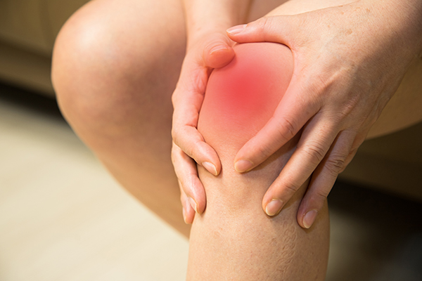 호관원 프리미엄 가격