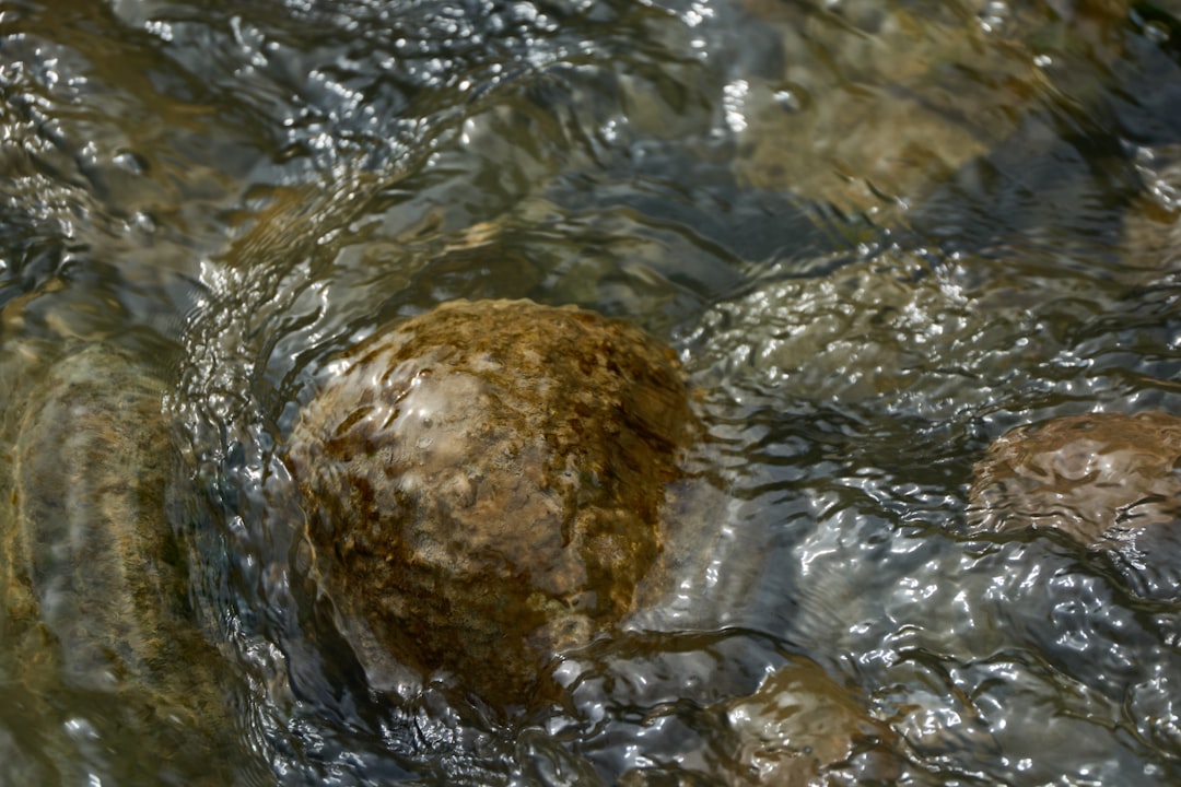 'Sinkhole'