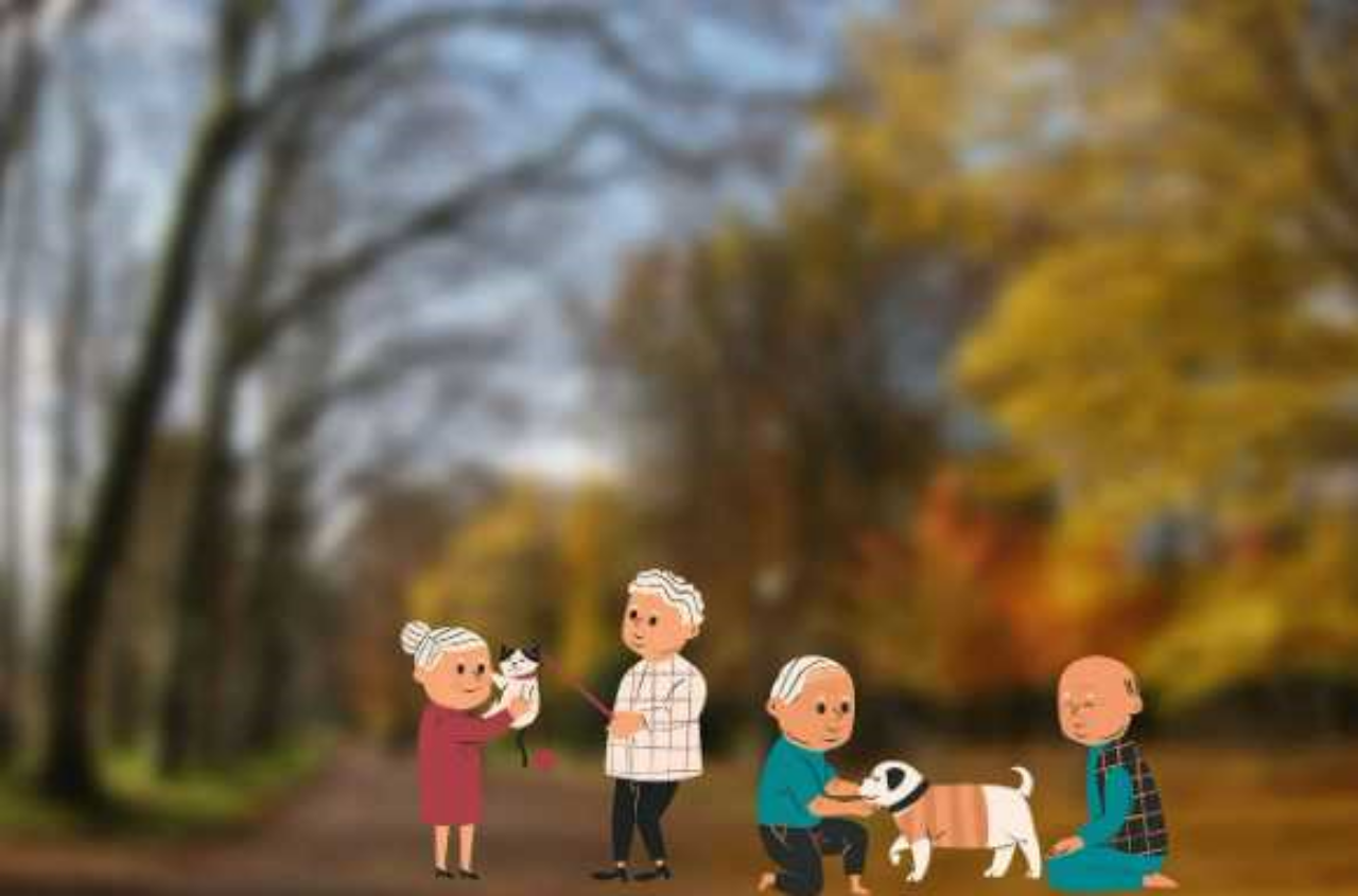 ๊ฒฝ๊ธฐ๋ ๊ฐ์กฑ๋๋ด์๋น