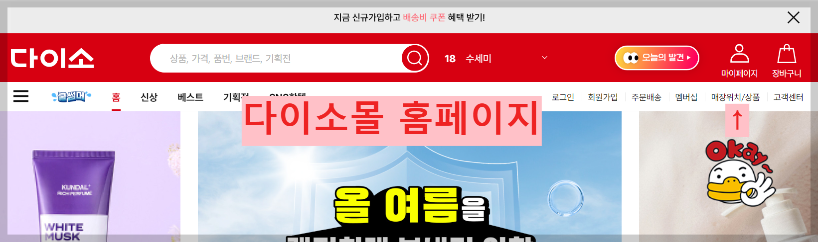 다이소 인기상품 빠르게 구입하기: 다이소 재고 찾기(PC, 핸드폰), 입고 알림 신청하기