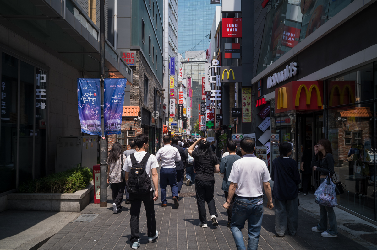 [라이카 M11] 점심 명동 산책