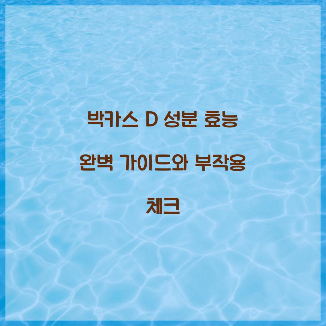 박카스 D 성분 효능