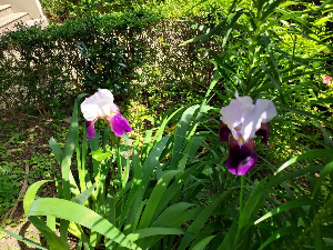 봄맞이 숙박 할인 페스타