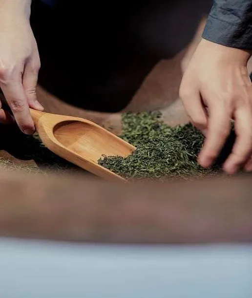 오설록 티 뮤지엄