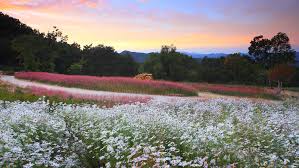 10월 가볼만한곳 베스트 